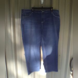 Women's Apt 9 Embellished Jeweled Capri Denim Blue Jeans Plus Size 22W